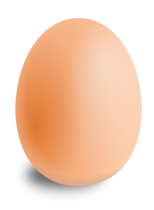 egg by bravebug